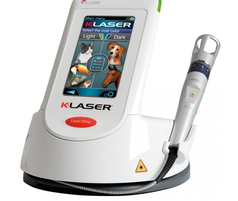 Au service de vos animaux : le laser est arrivé !